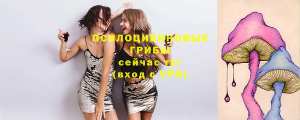 a pvp Абинск