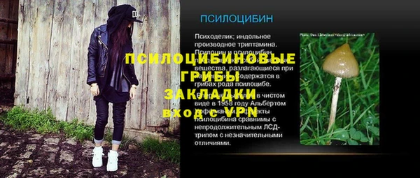 амфетамин Алексеевка