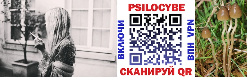 Псилоцибиновые грибы GOLDEN TEACHER Чердынь
